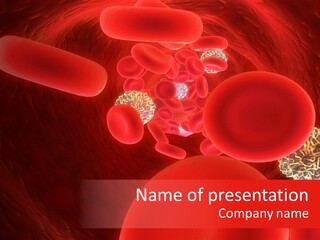 Red Blood Cells PowerPoint Template