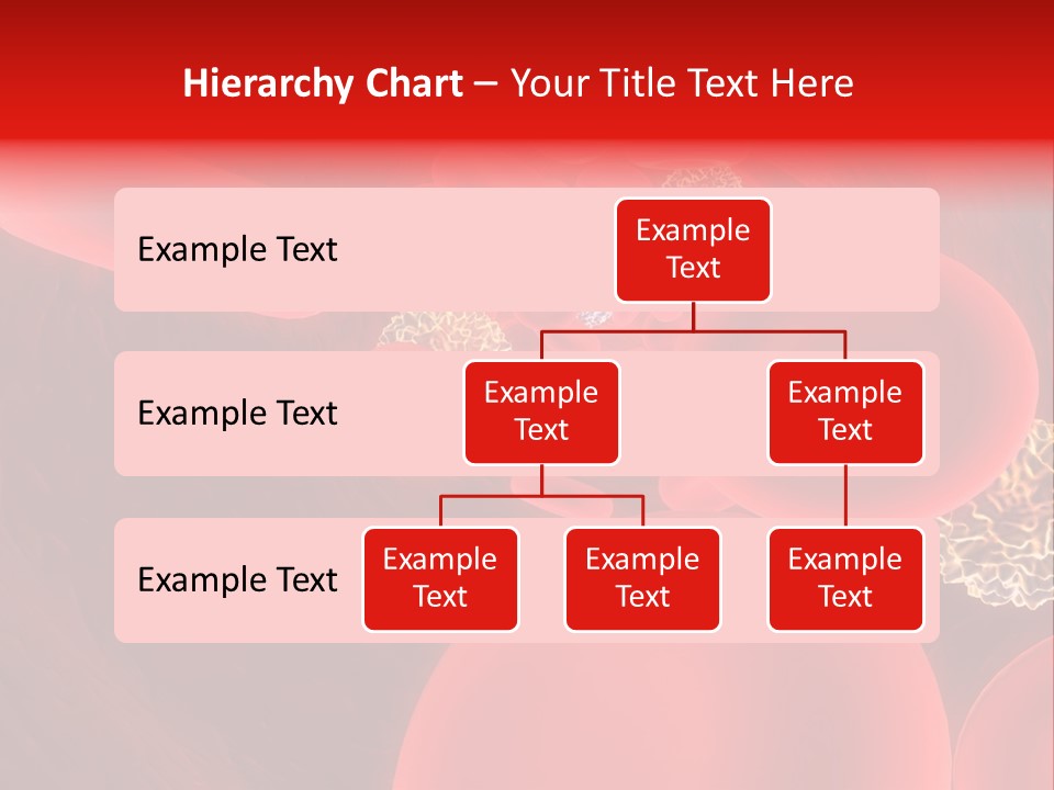 Red Blood Cells PowerPoint Template