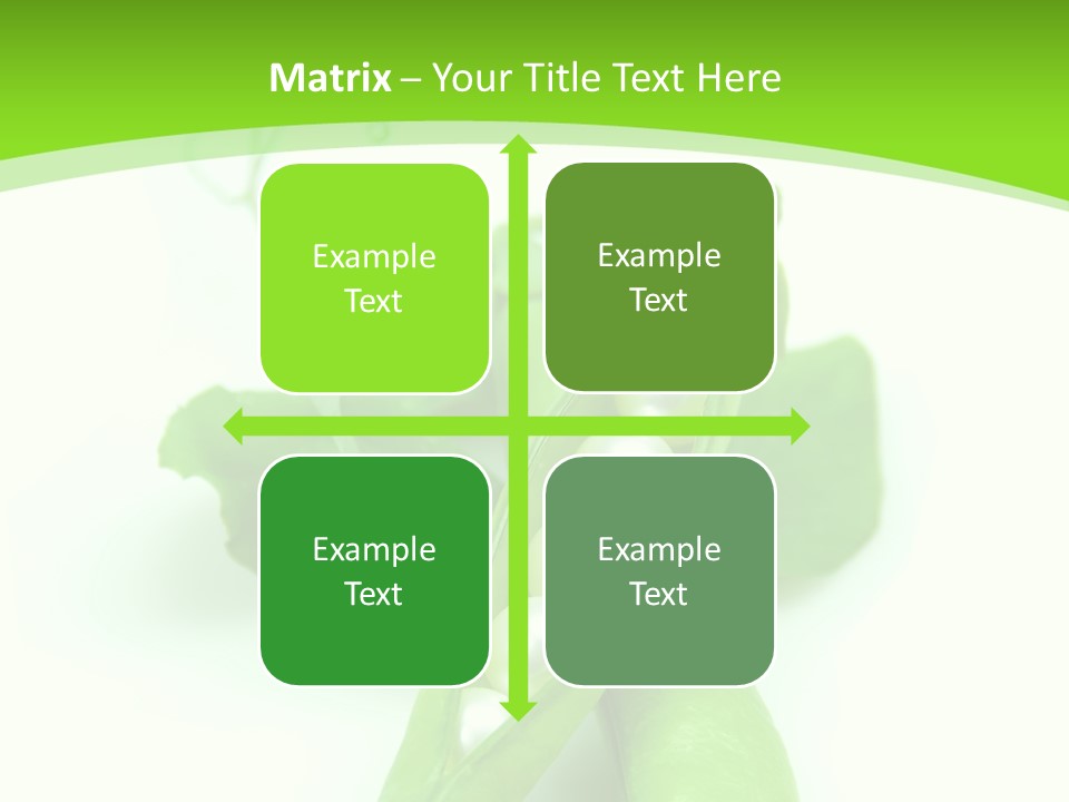 Pea Pod Containing Pearls. Conceptual Image PowerPoint Template