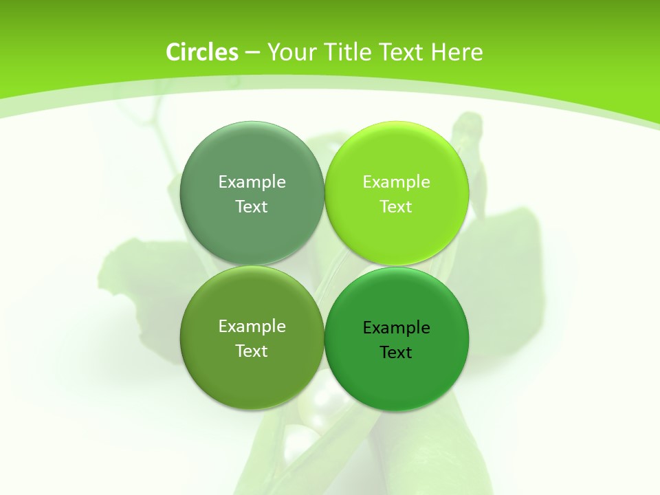 Pea Pod Containing Pearls. Conceptual Image PowerPoint Template