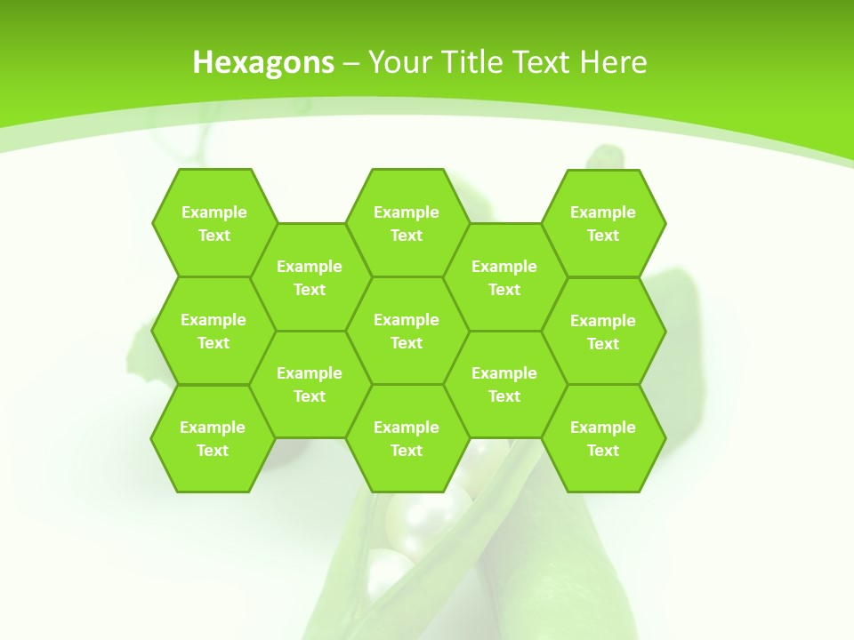 Pea Pod Containing Pearls. Conceptual Image PowerPoint Template