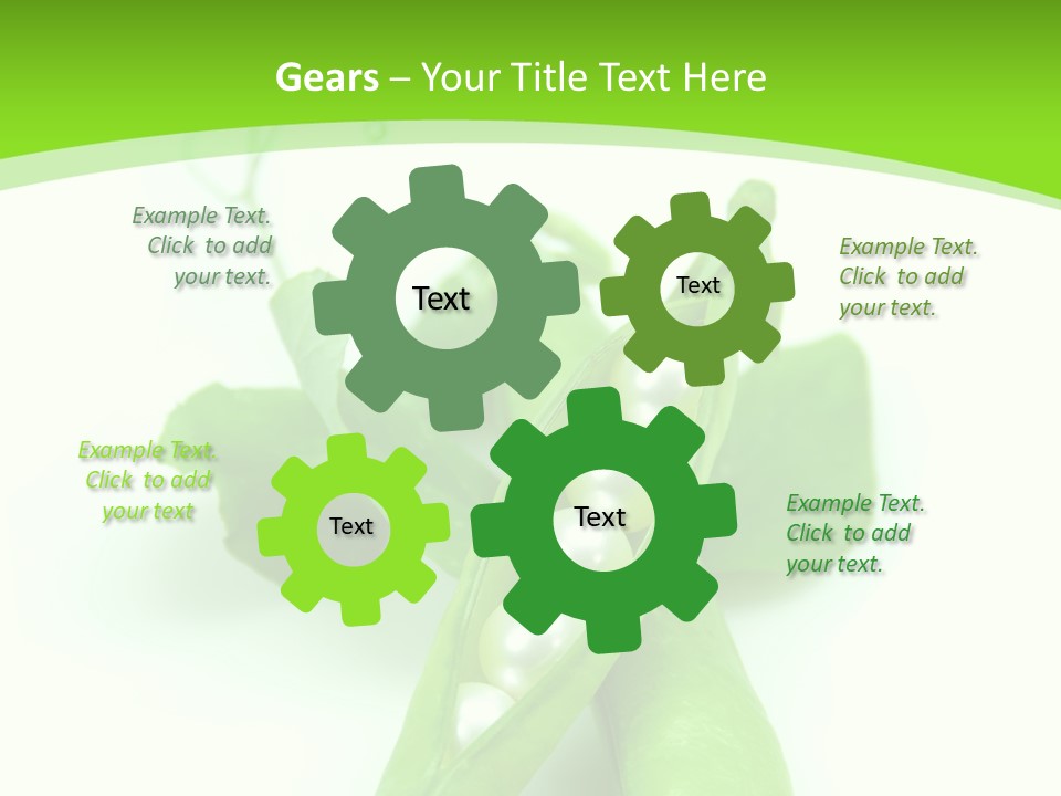 Pea Pod Containing Pearls. Conceptual Image PowerPoint Template