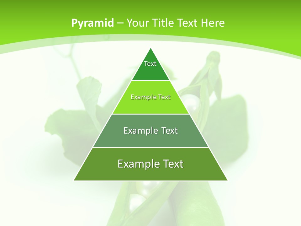 Pea Pod Containing Pearls. Conceptual Image PowerPoint Template