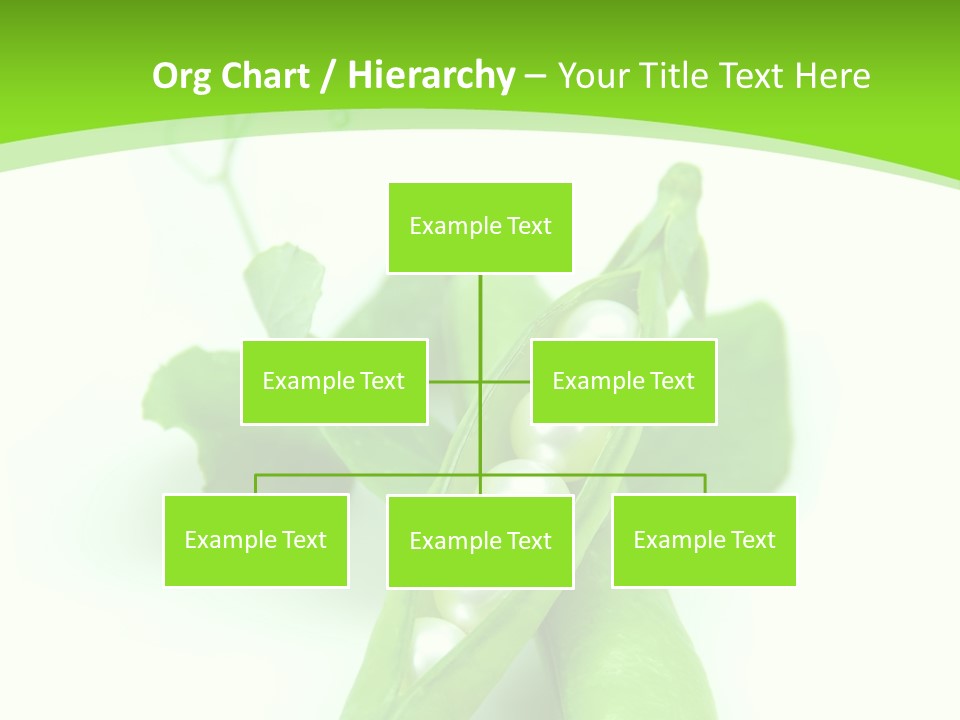 Pea Pod Containing Pearls. Conceptual Image PowerPoint Template