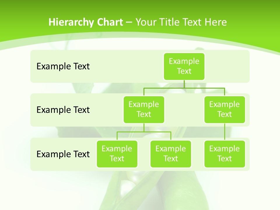 Pea Pod Containing Pearls. Conceptual Image PowerPoint Template