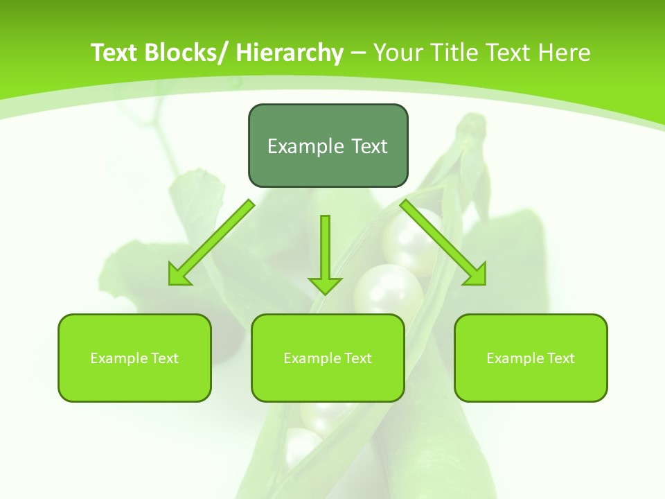 Pea Pod Containing Pearls. Conceptual Image PowerPoint Template