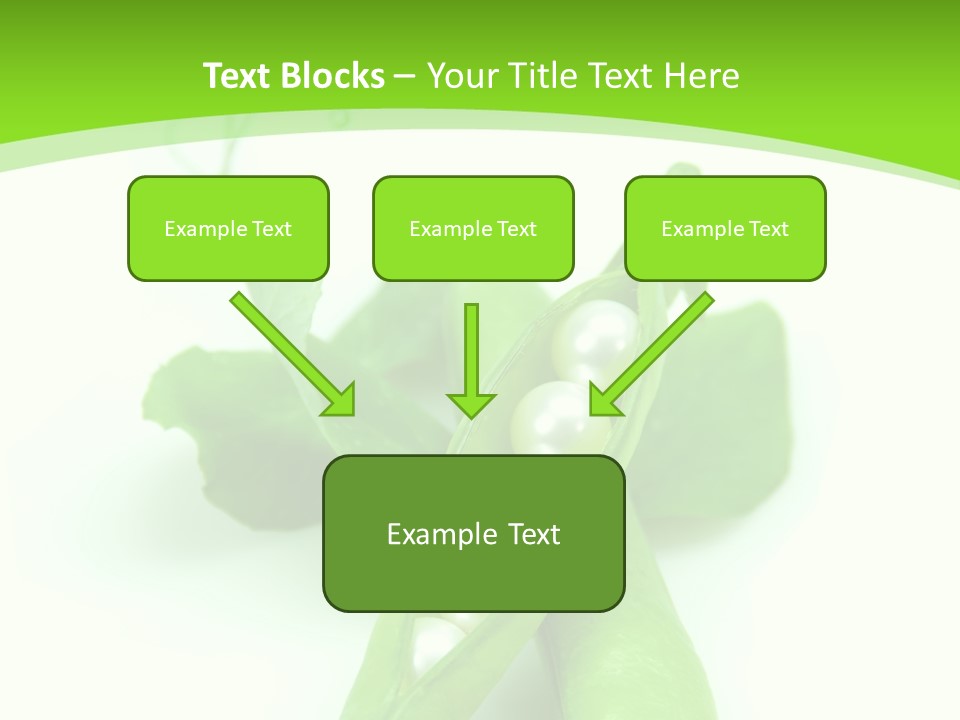 Pea Pod Containing Pearls. Conceptual Image PowerPoint Template