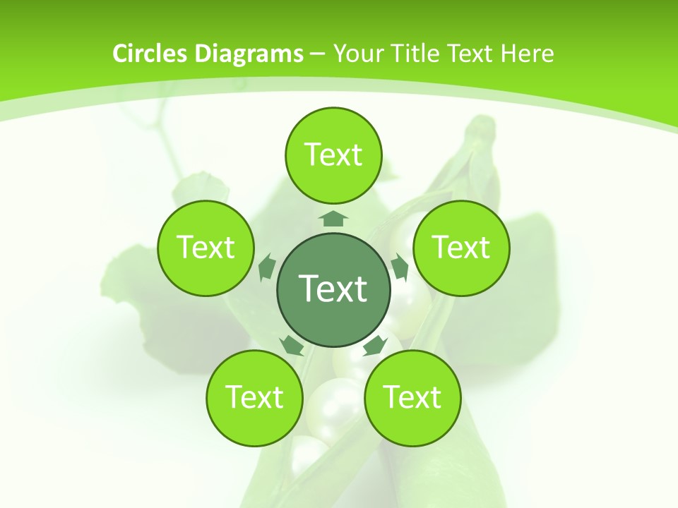 Pea Pod Containing Pearls. Conceptual Image PowerPoint Template