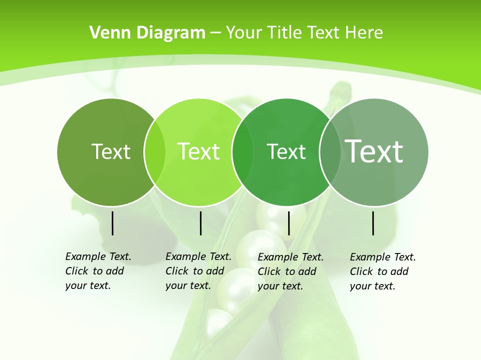 Pea Pod Containing Pearls. Conceptual Image PowerPoint Template