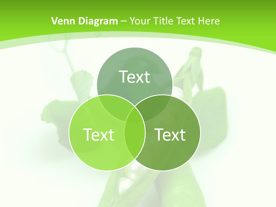 Pea Pod Containing Pearls. Conceptual Image PowerPoint Template