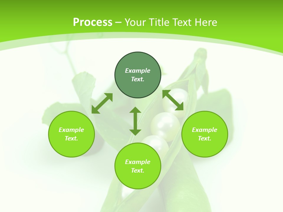 Pea Pod Containing Pearls. Conceptual Image PowerPoint Template