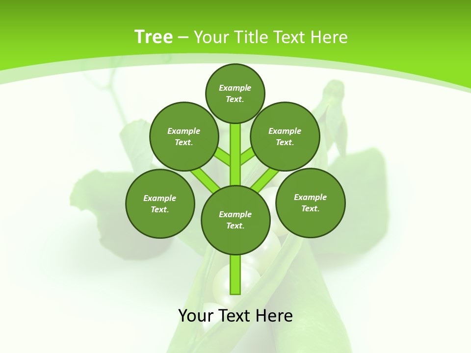 Pea Pod Containing Pearls. Conceptual Image PowerPoint Template