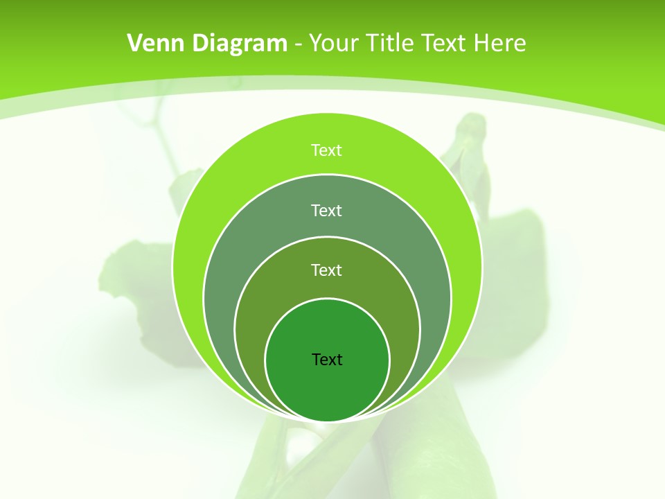 Pea Pod Containing Pearls. Conceptual Image PowerPoint Template