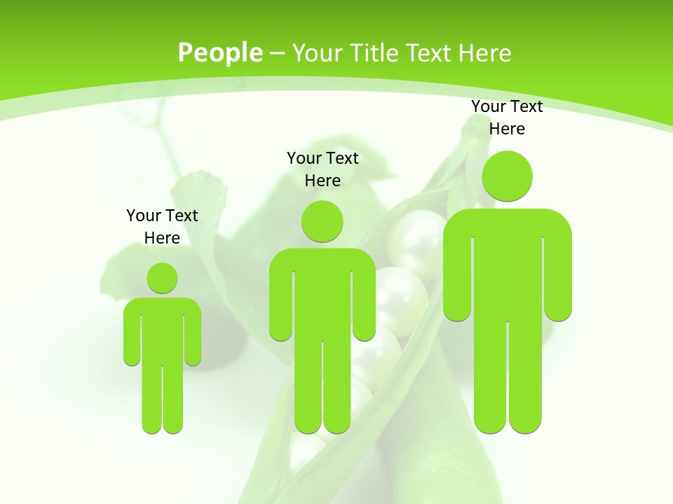 Pea Pod Containing Pearls. Conceptual Image PowerPoint Template