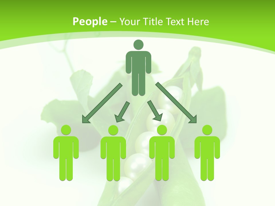 Pea Pod Containing Pearls. Conceptual Image PowerPoint Template