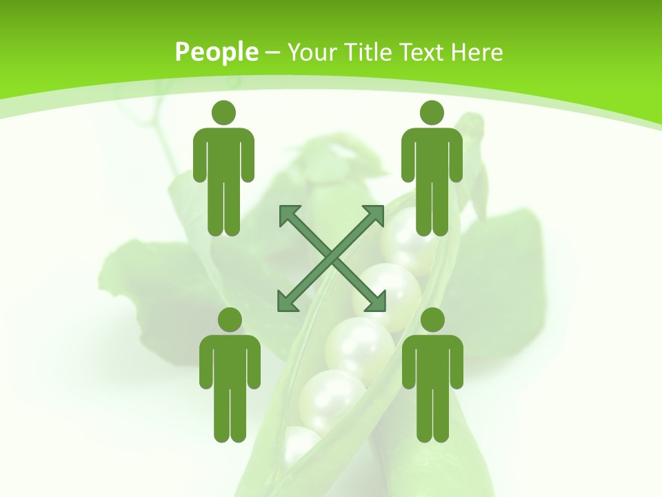 Pea Pod Containing Pearls. Conceptual Image PowerPoint Template