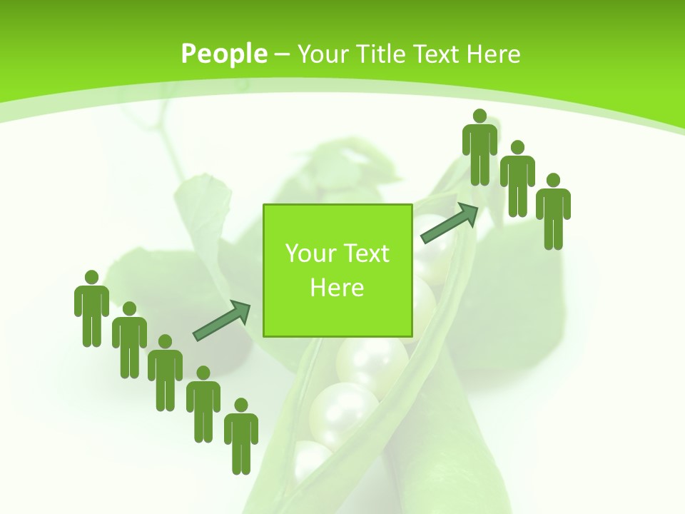 Pea Pod Containing Pearls. Conceptual Image PowerPoint Template