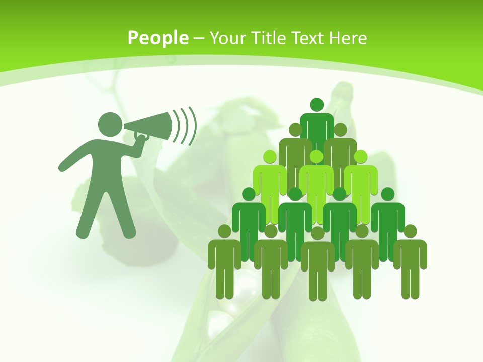 Pea Pod Containing Pearls. Conceptual Image PowerPoint Template