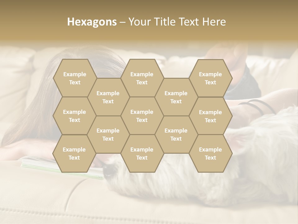 Portrait Of A Cute Young Woman Enjoying Quality Time With Her White West Highland Terrier, Jack PowerPoint Template