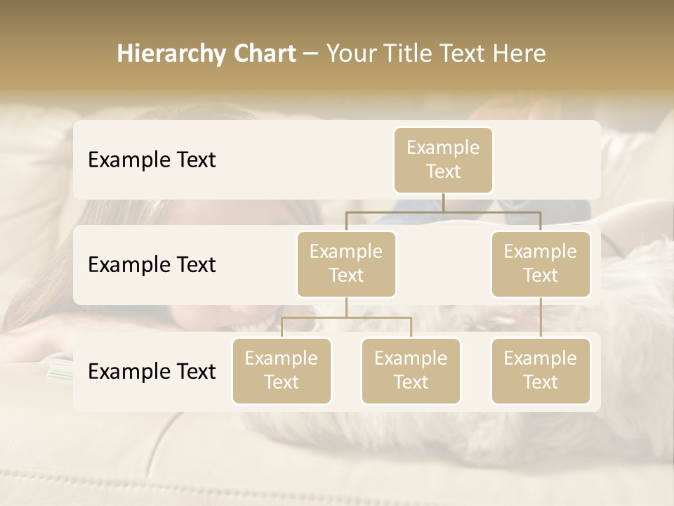 Portrait Of A Cute Young Woman Enjoying Quality Time With Her White West Highland Terrier, Jack PowerPoint Template