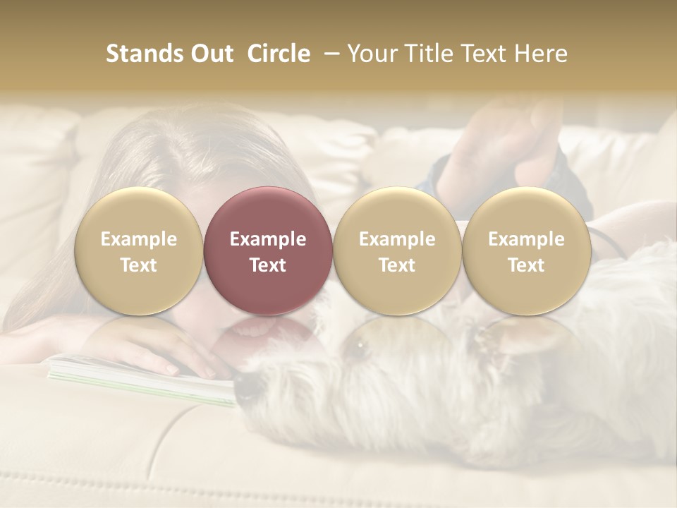 Portrait Of A Cute Young Woman Enjoying Quality Time With Her White West Highland Terrier, Jack PowerPoint Template