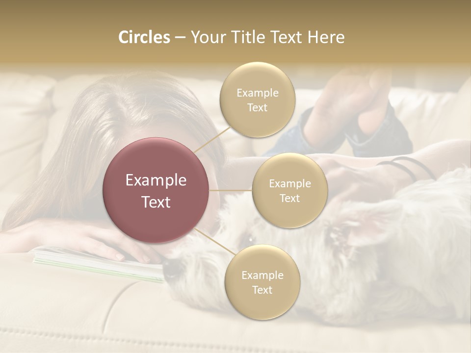 Portrait Of A Cute Young Woman Enjoying Quality Time With Her White West Highland Terrier, Jack PowerPoint Template