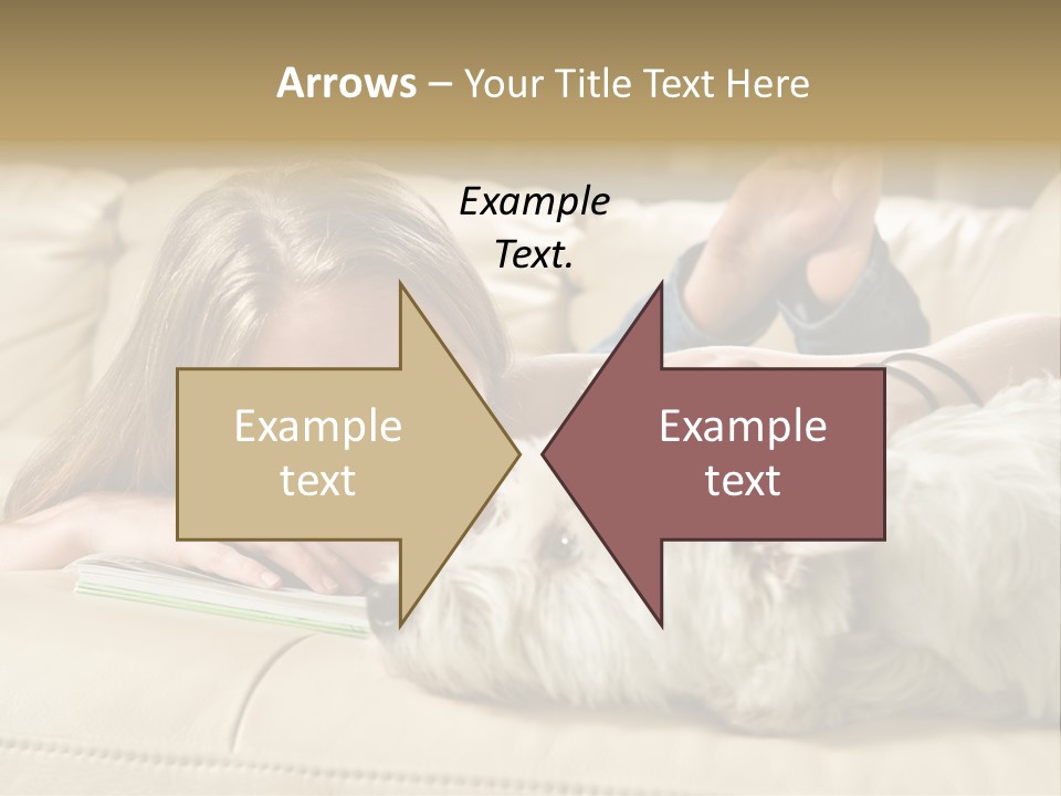 Portrait Of A Cute Young Woman Enjoying Quality Time With Her White West Highland Terrier, Jack PowerPoint Template