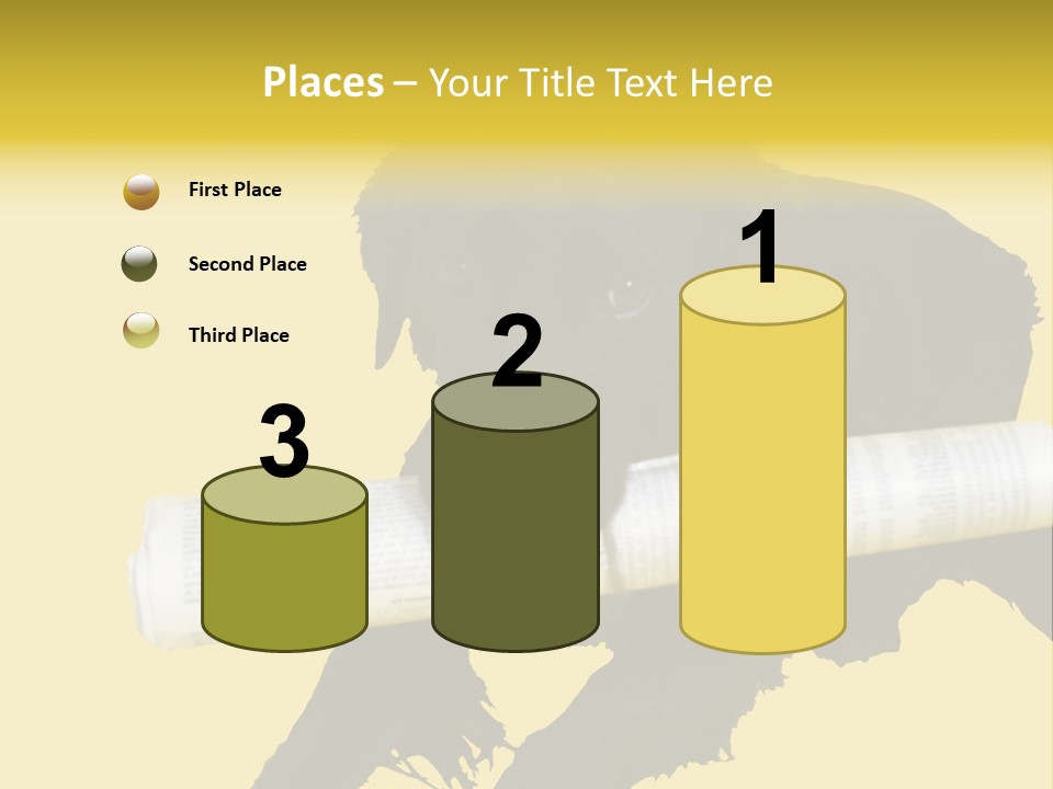 Black Dog With Rolled Up Newspaper PowerPoint Template