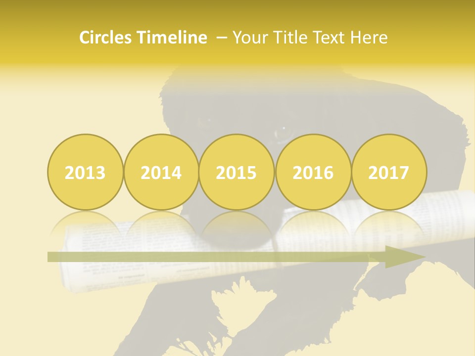 Black Dog With Rolled Up Newspaper PowerPoint Template