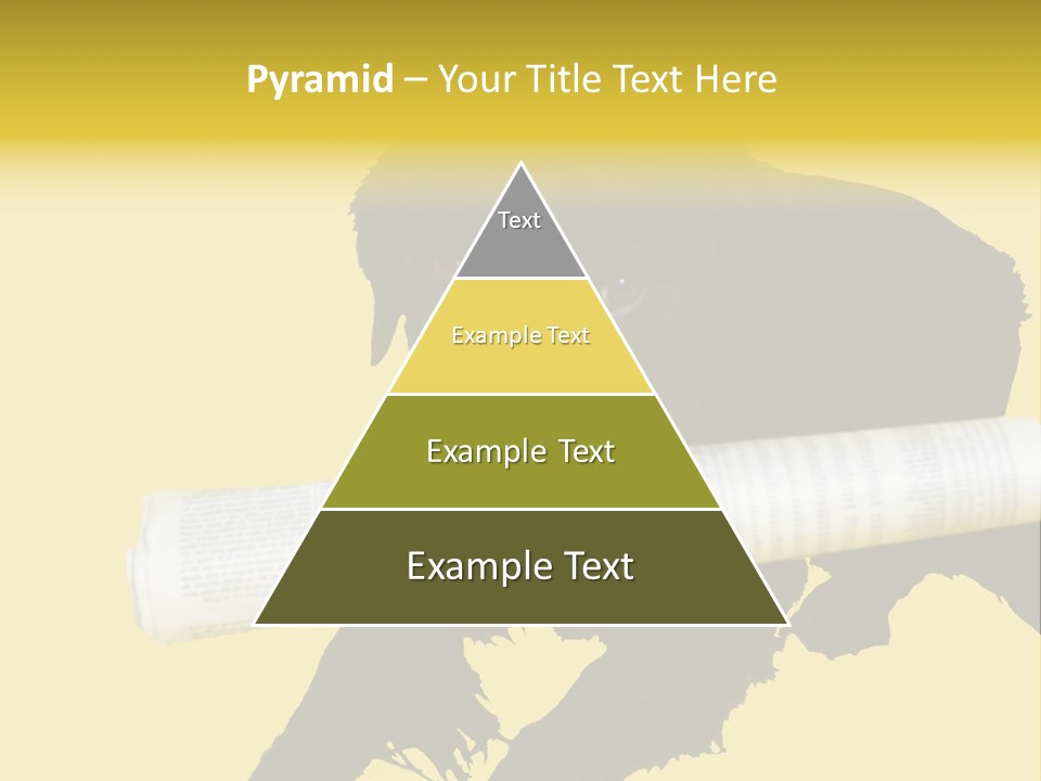 Black Dog With Rolled Up Newspaper PowerPoint Template