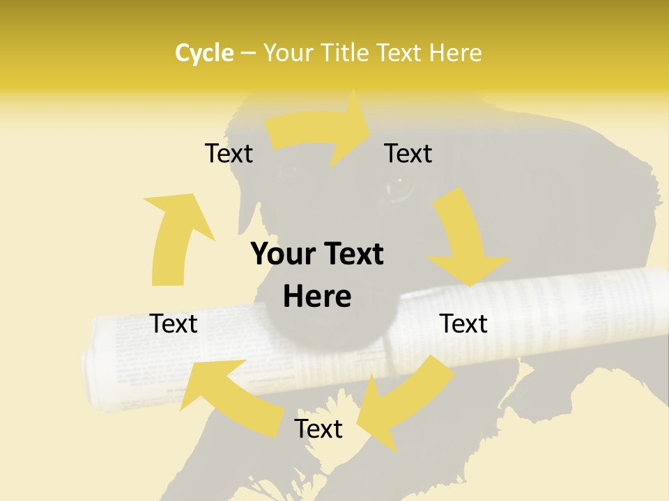 Black Dog With Rolled Up Newspaper PowerPoint Template