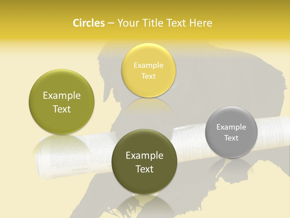 Black Dog With Rolled Up Newspaper PowerPoint Template