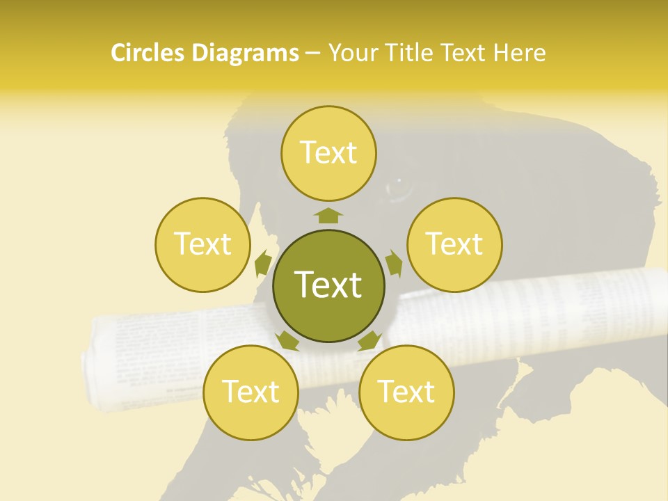 Black Dog With Rolled Up Newspaper PowerPoint Template