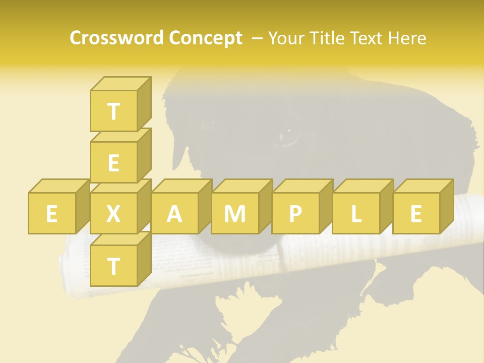 Black Dog With Rolled Up Newspaper PowerPoint Template