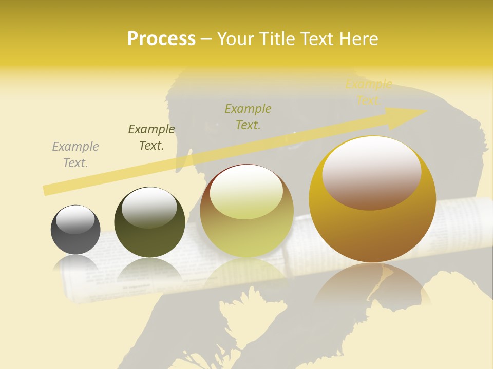 Black Dog With Rolled Up Newspaper PowerPoint Template