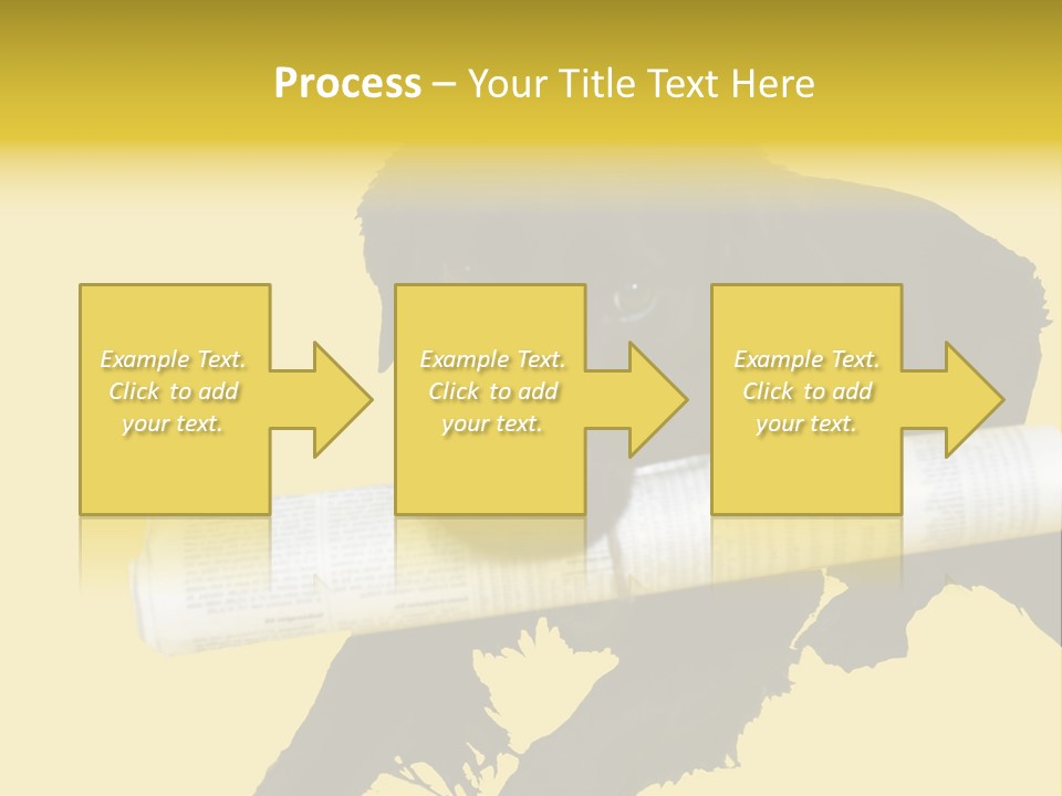 Black Dog With Rolled Up Newspaper PowerPoint Template