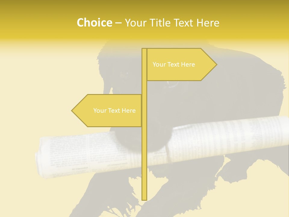 Black Dog With Rolled Up Newspaper PowerPoint Template