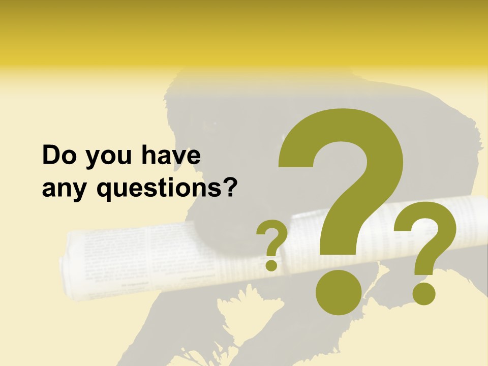 Black Dog With Rolled Up Newspaper PowerPoint Template