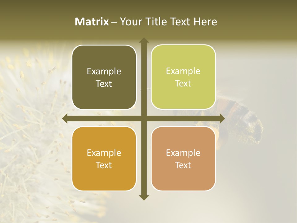 A Bee Hovering While Collecting Pollen From Pussy Willow Blossom. Hairs On Bee Are Covered In Yellow Pollen As Are It's Legs. PowerPoint Template