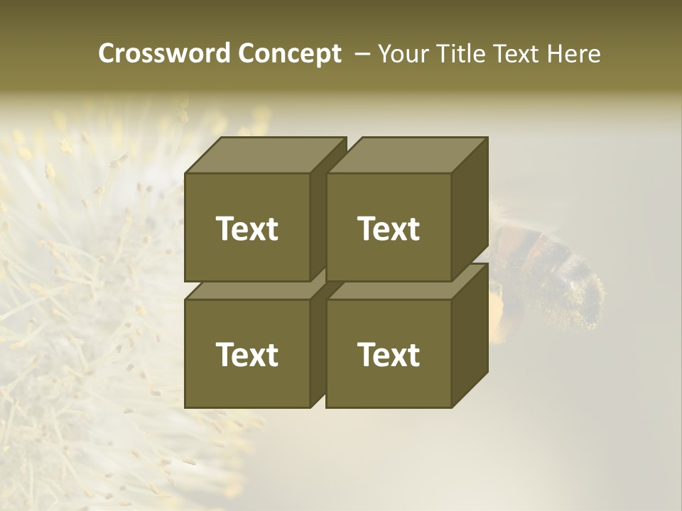 A Bee Hovering While Collecting Pollen From Pussy Willow Blossom. Hairs On Bee Are Covered In Yellow Pollen As Are It's Legs. PowerPoint Template