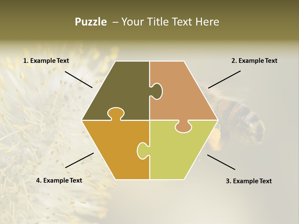 A Bee Hovering While Collecting Pollen From Pussy Willow Blossom. Hairs On Bee Are Covered In Yellow Pollen As Are It's Legs. PowerPoint Template