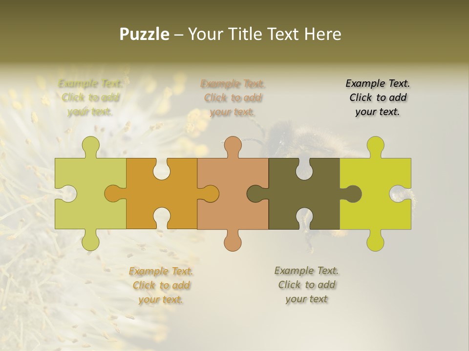 A Bee Hovering While Collecting Pollen From Pussy Willow Blossom. Hairs On Bee Are Covered In Yellow Pollen As Are It's Legs. PowerPoint Template