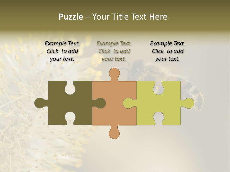 A Bee Hovering While Collecting Pollen From Pussy Willow Blossom. Hairs On Bee Are Covered In Yellow Pollen As Are It's Legs. PowerPoint Template