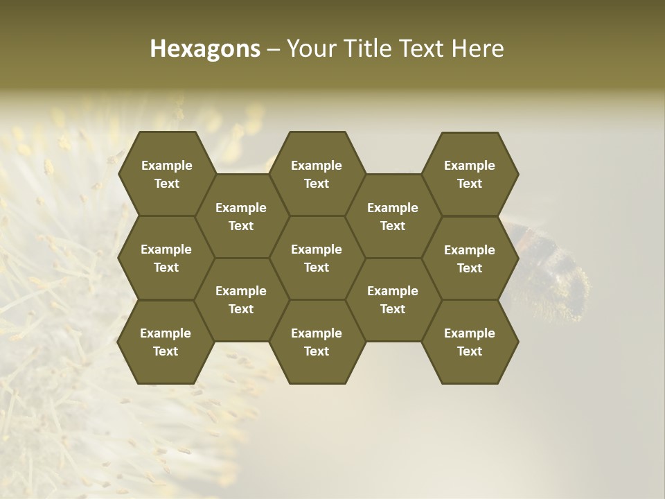 A Bee Hovering While Collecting Pollen From Pussy Willow Blossom. Hairs On Bee Are Covered In Yellow Pollen As Are It's Legs. PowerPoint Template