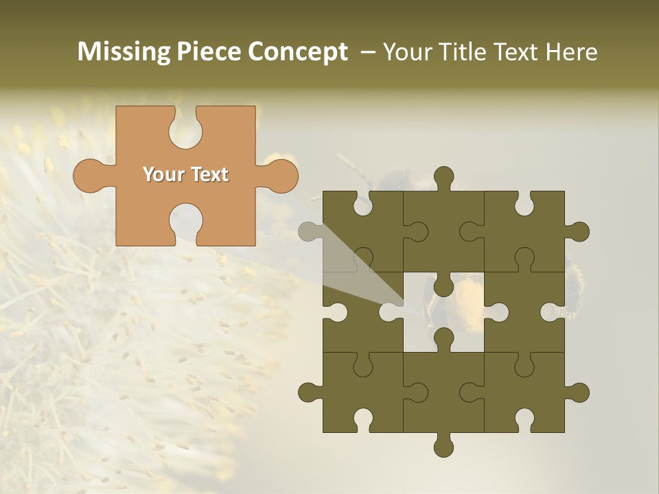 A Bee Hovering While Collecting Pollen From Pussy Willow Blossom. Hairs On Bee Are Covered In Yellow Pollen As Are It's Legs. PowerPoint Template