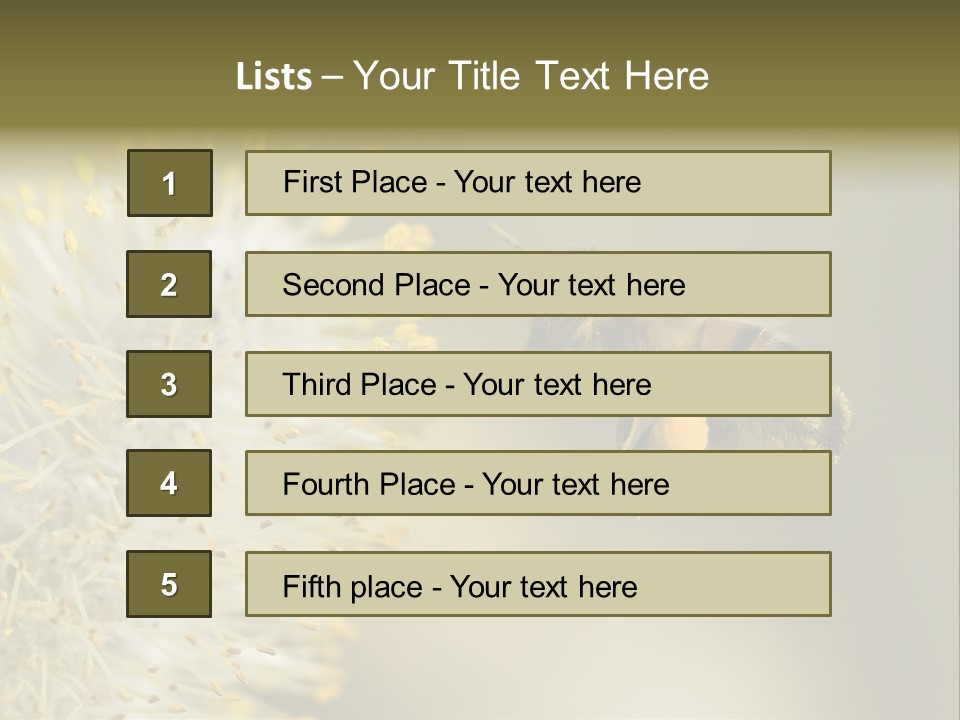 A Bee Hovering While Collecting Pollen From Pussy Willow Blossom. Hairs On Bee Are Covered In Yellow Pollen As Are It's Legs. PowerPoint Template
