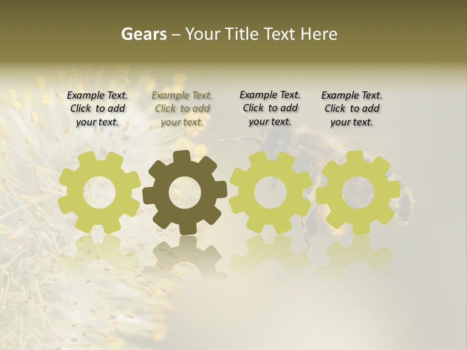 A Bee Hovering While Collecting Pollen From Pussy Willow Blossom. Hairs On Bee Are Covered In Yellow Pollen As Are It's Legs. PowerPoint Template