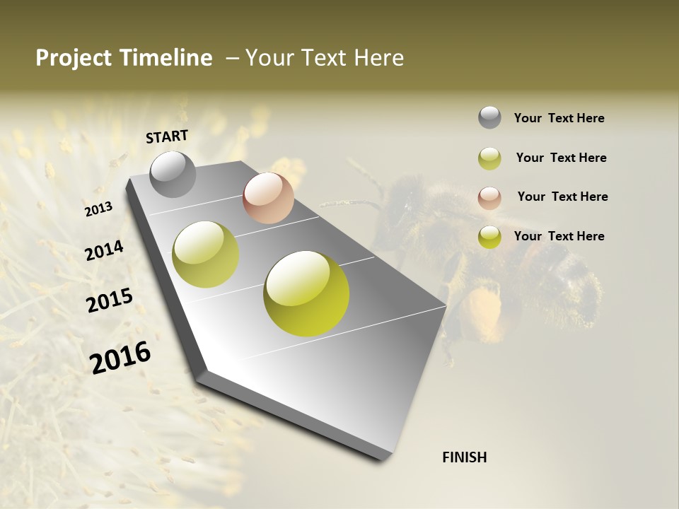 A Bee Hovering While Collecting Pollen From Pussy Willow Blossom. Hairs On Bee Are Covered In Yellow Pollen As Are It's Legs. PowerPoint Template
