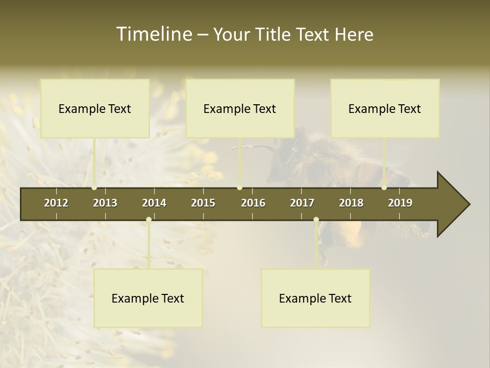 A Bee Hovering While Collecting Pollen From Pussy Willow Blossom. Hairs On Bee Are Covered In Yellow Pollen As Are It's Legs. PowerPoint Template