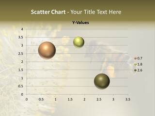 A Bee Hovering While Collecting Pollen From Pussy Willow Blossom. Hairs On Bee Are Covered In Yellow Pollen As Are It's Legs. PowerPoint Template